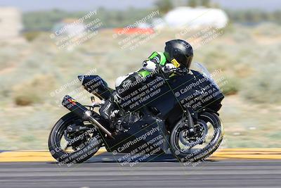 media/Apr-13-2024-SoCal Trackdays (Sat) [[f1617382bd]]/3-Turn 4 (1010am)/